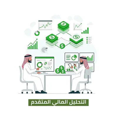 الباقة الثانية: التحليل المالي المتقدم