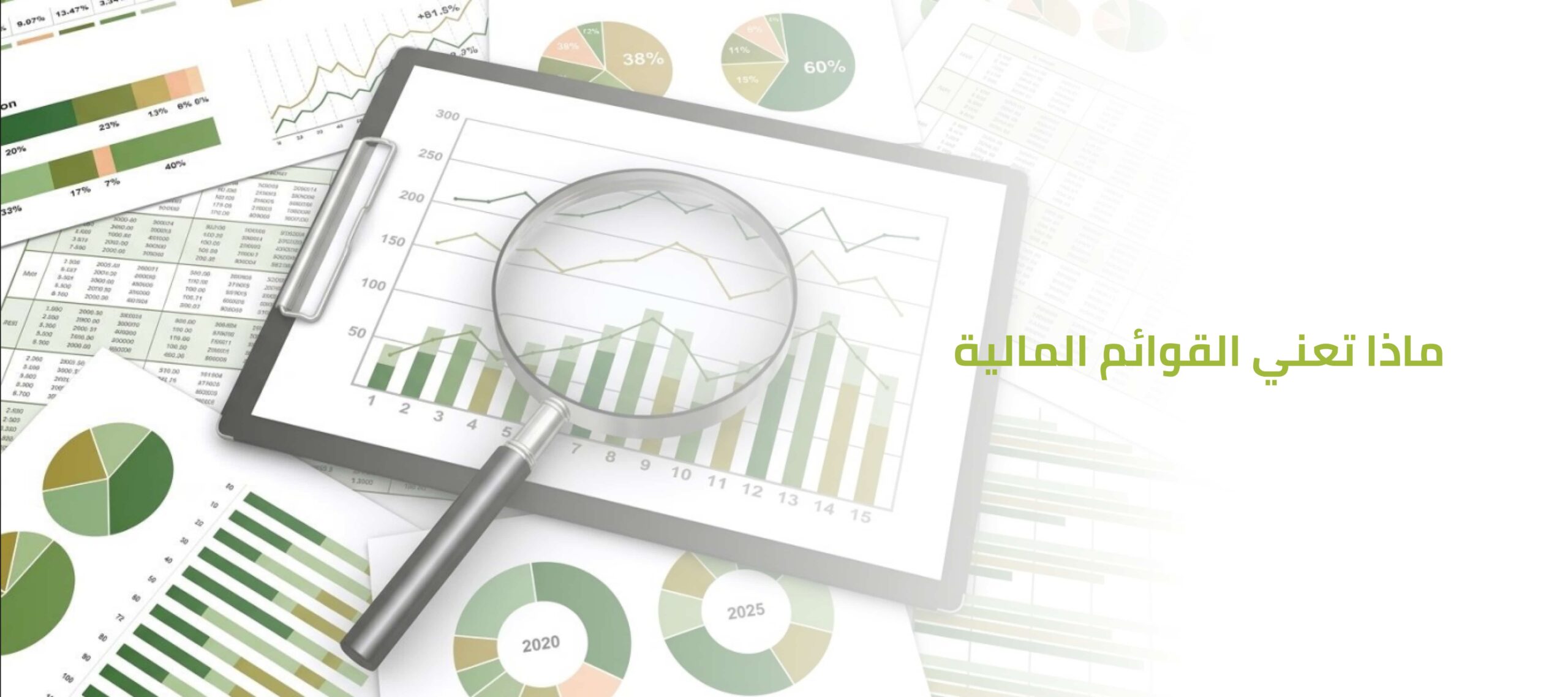ماذا تعني القوائم المالية؟